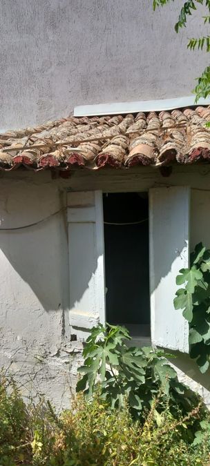 Foto 286573844