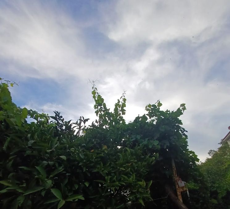 照片 286689221