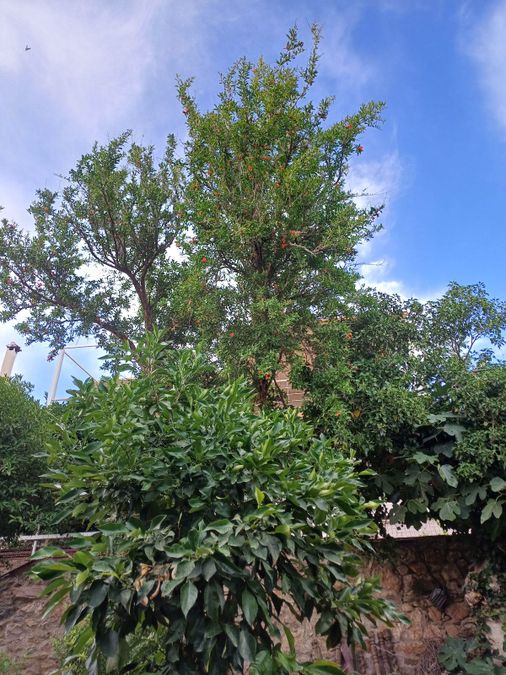 Photo 286694279