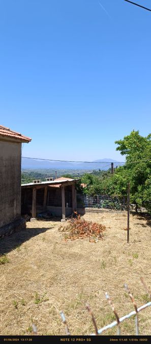 Photo 287387198