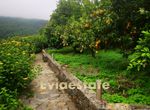 Photo 287536184