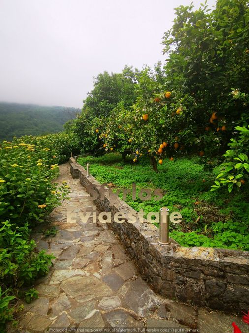 Photo 287536184