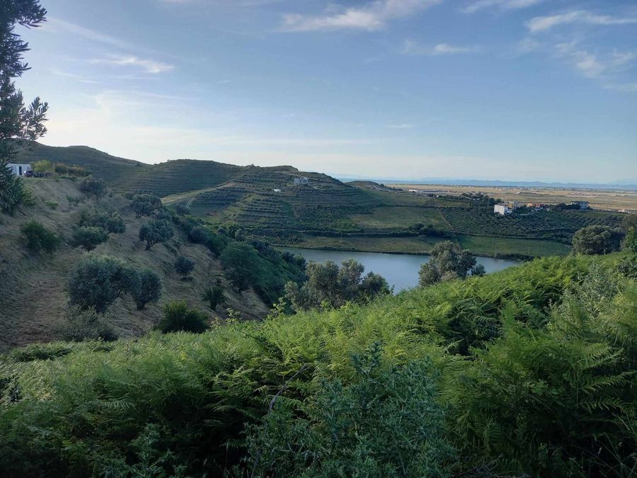Photo 287595521