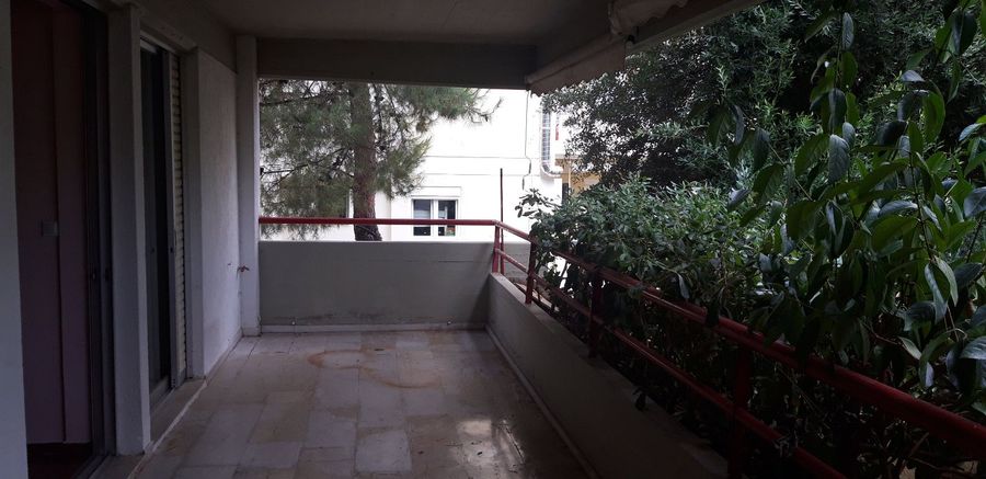 Photo 287850020