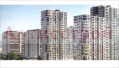 Снимка 288459161