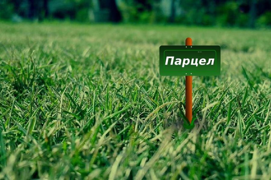 Снимка 289184306