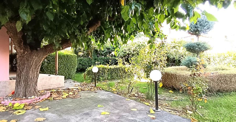 Photo 289195634