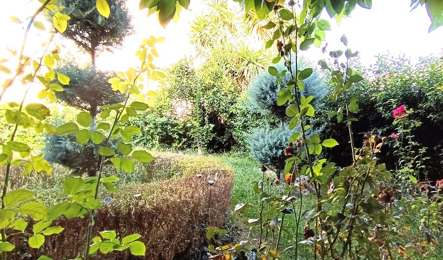 Photo 289195637