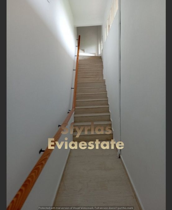 Photo 289293116