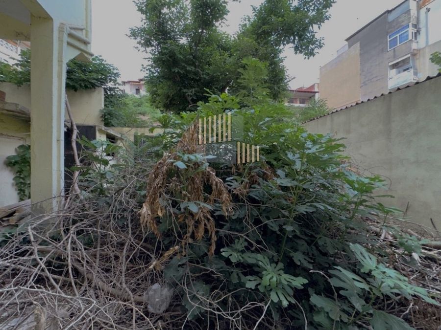 Foto 289300412