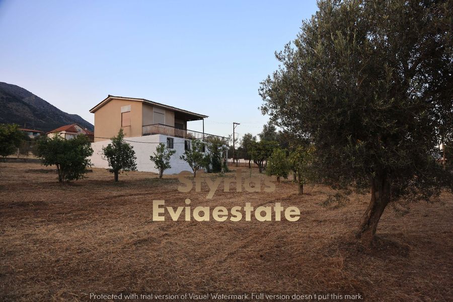Photo 289788230