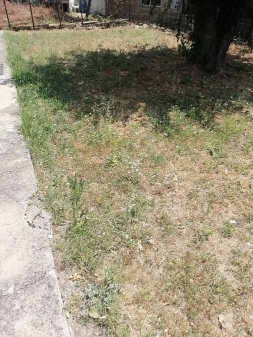 Photo 290579612