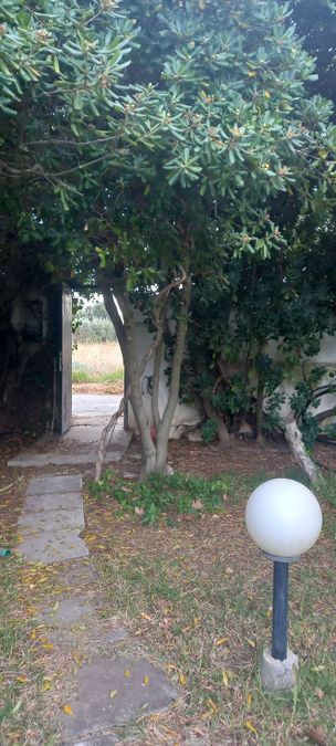Photo 290616227