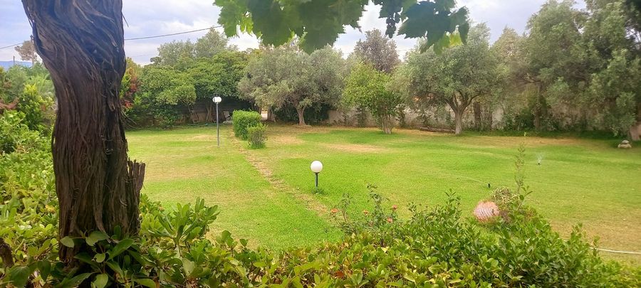 Photo 290616239