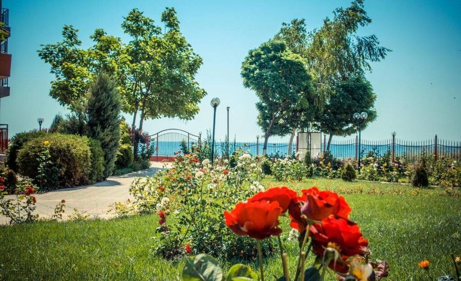 Снимка 292559153