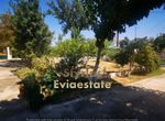 Photo 293610362