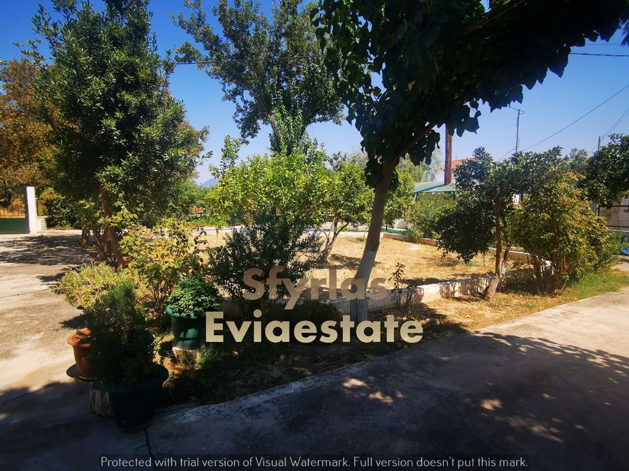 Photo 293610362