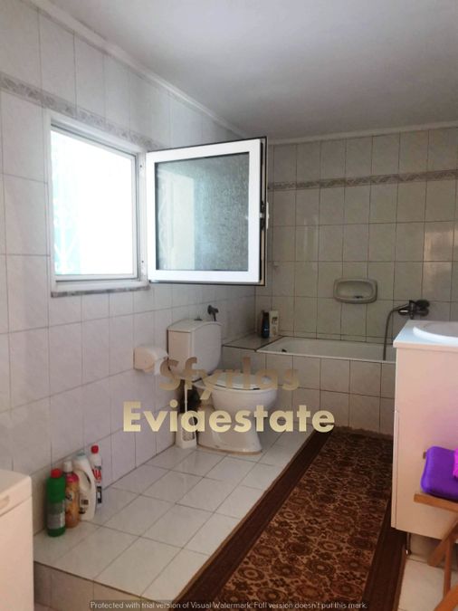 Photo 293610374
