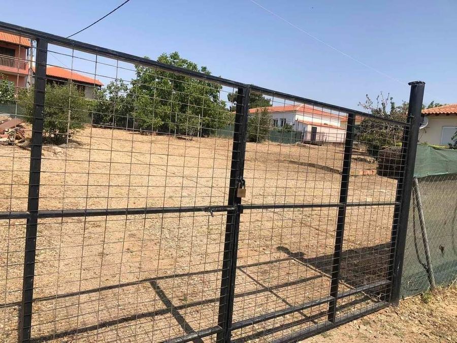 Снимка 294433652