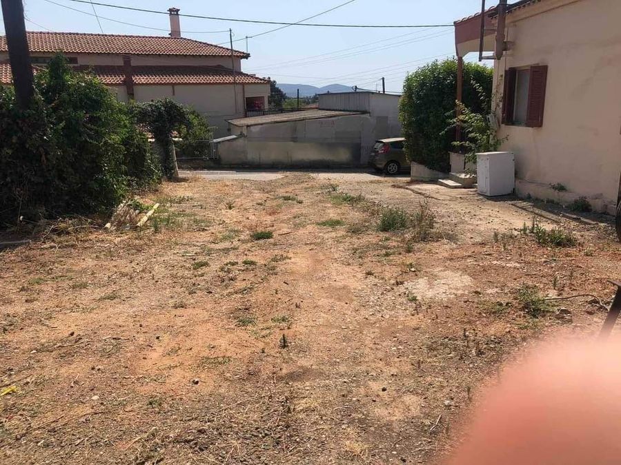 Снимка 294433661