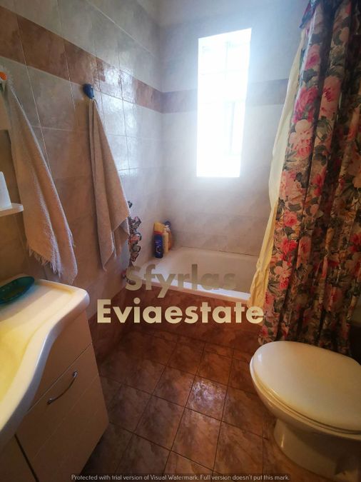 Photo 294576533