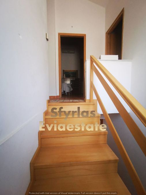 Photo 294576539