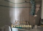 Photo 294585989