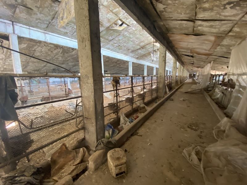 Снимка 294914342