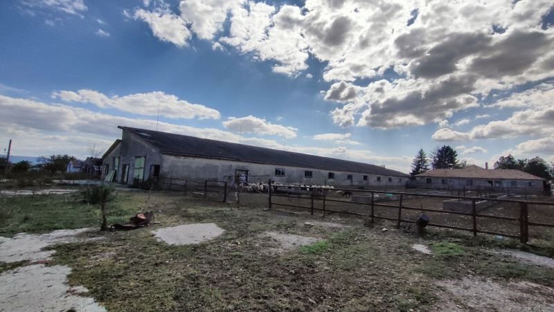 Снимка 294914354