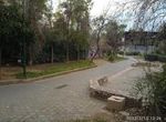 Photo 296483492