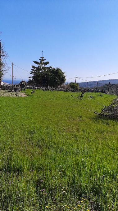 Photo 296540069
