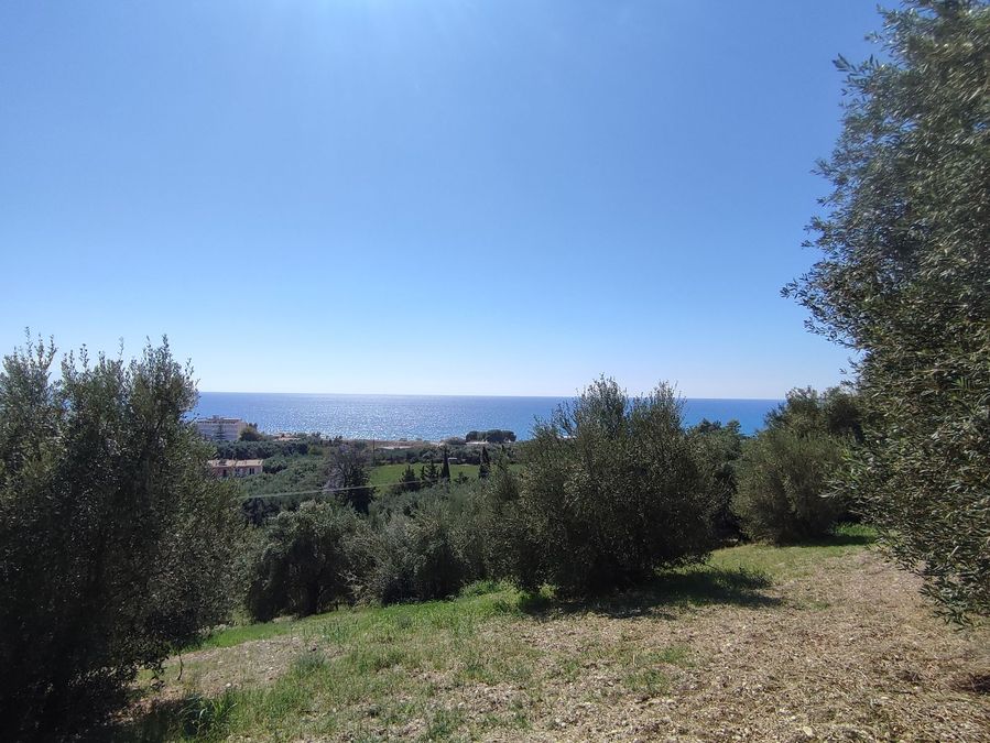 Photo 296587289