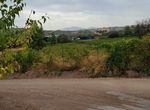 Photo 297407777