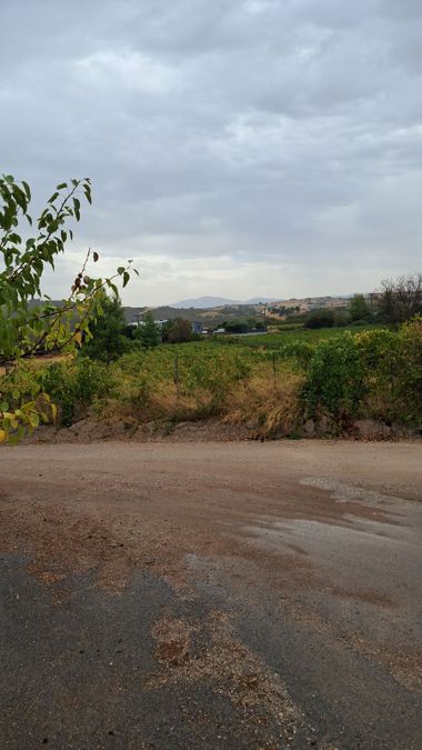 Photo 297407777