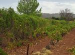 Photo 297407864