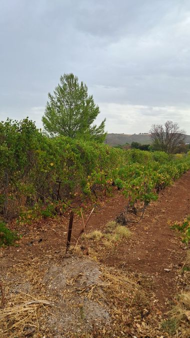 Photo 297407864