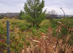 Photo 297407948