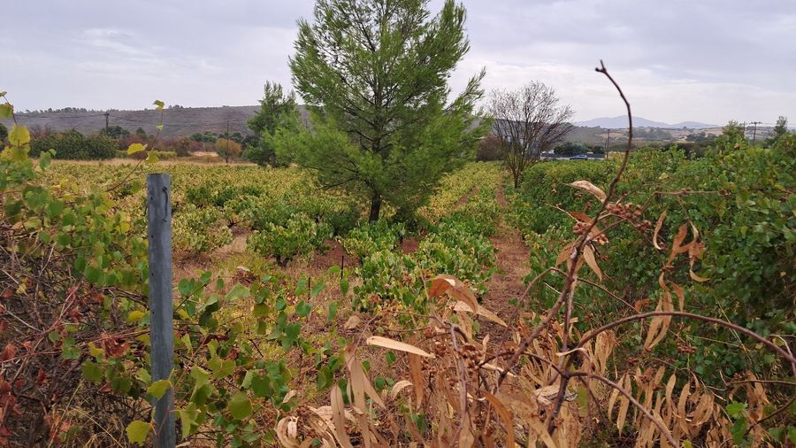Photo 297407948