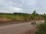 Photo 297407981