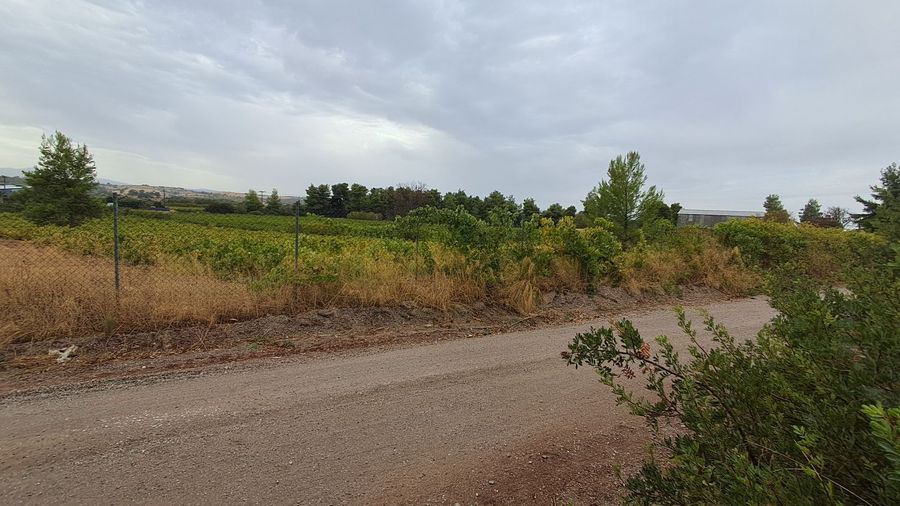 Photo 297407981