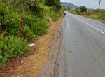 Photo 297409946