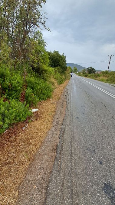 Photo 297409946