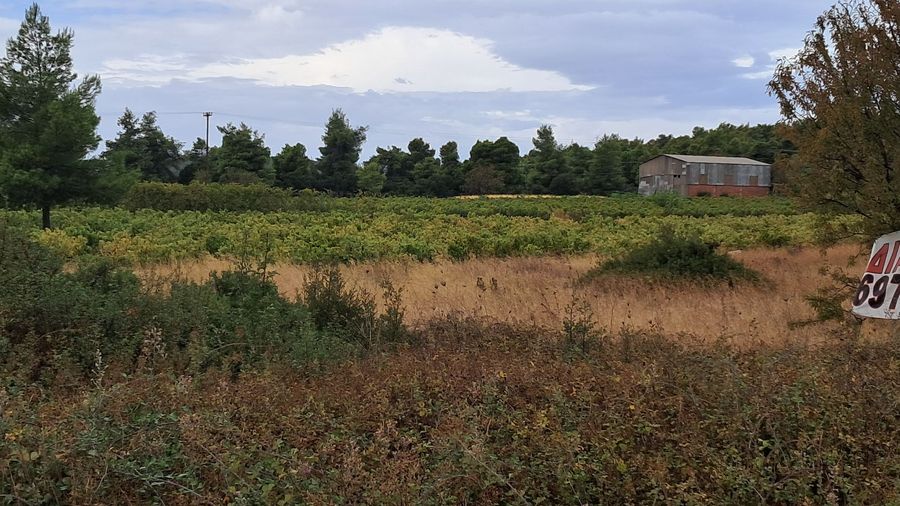 Photo 297409985