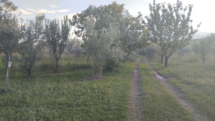 Photo 297706811