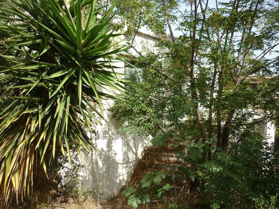 Photo 297771665