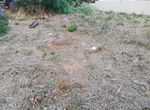 Photo 297812468