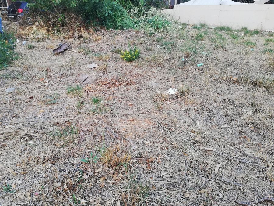 Photo 297812468