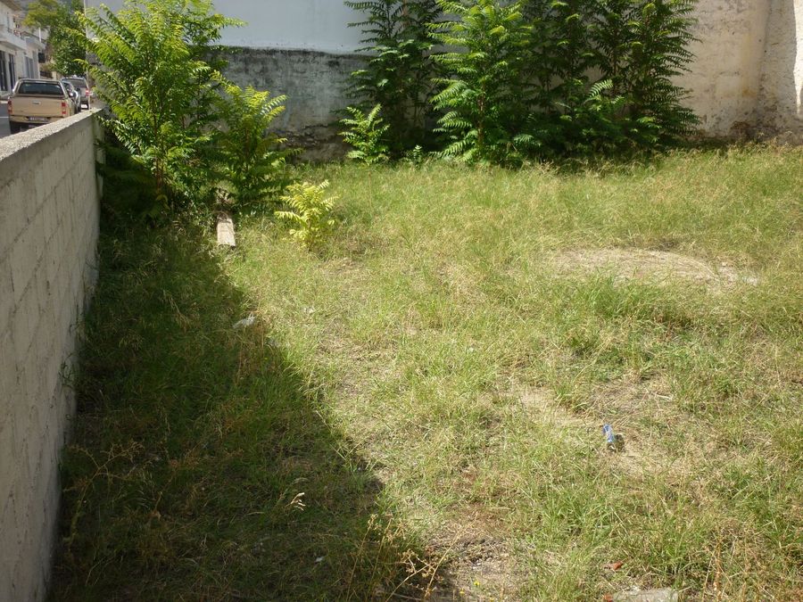 Photo 298498868