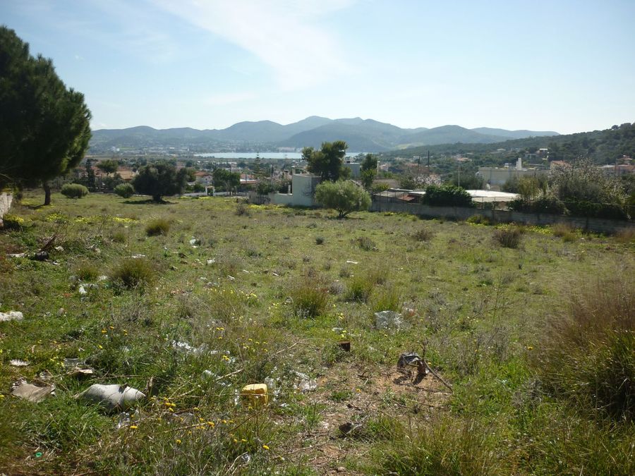 Photo 298870577