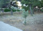 Photo 299027813